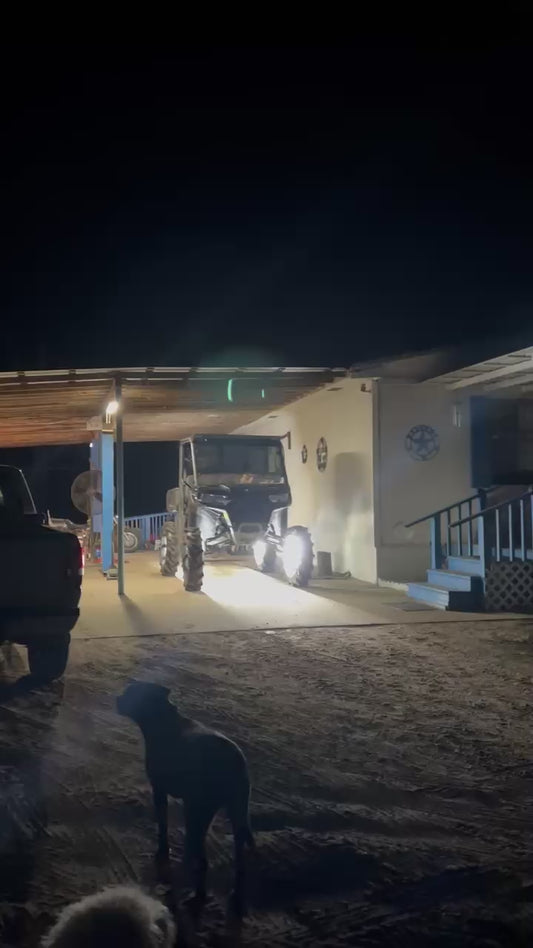 Quad Row Portal Lights